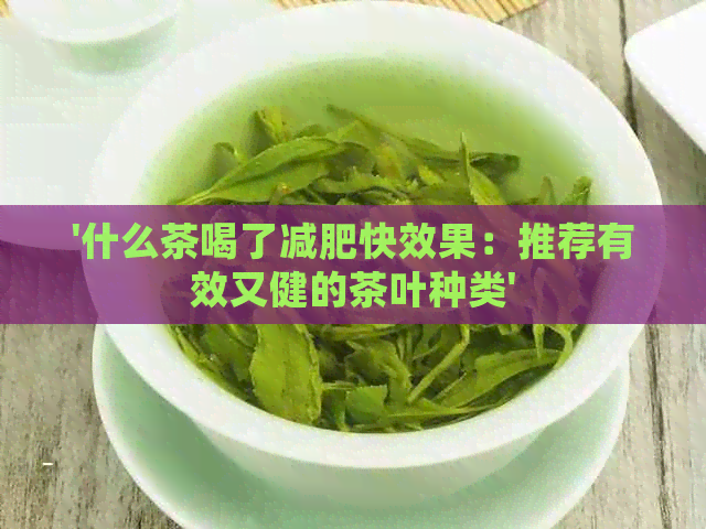 '什么茶喝了减肥快效果：推荐有效又健的茶叶种类'
