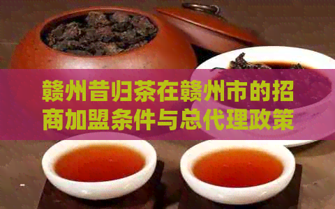 赣州昔归茶在赣州市的招商加盟条件与总代理政策解读