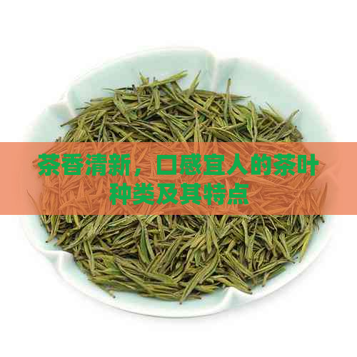 茶香清新，口感宜人的茶叶种类及其特点