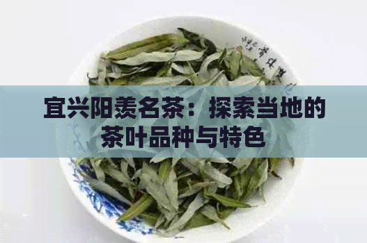 宜兴阳羡名茶：探索当地的茶叶品种与特色