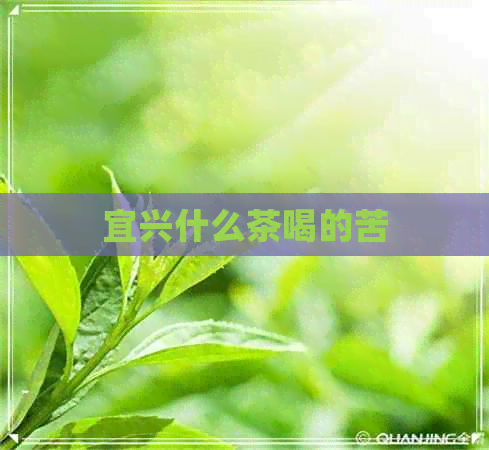 宜兴什么茶喝的苦