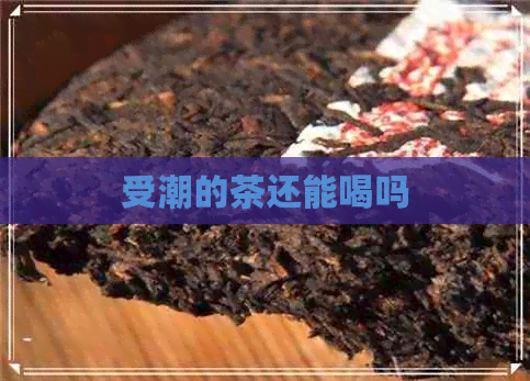 受潮的茶还能喝吗