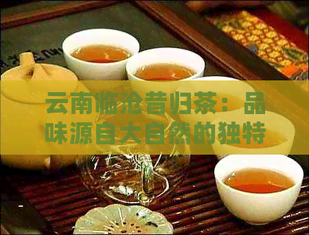 云南临沧昔归茶：品味源自大自然的独特韵味