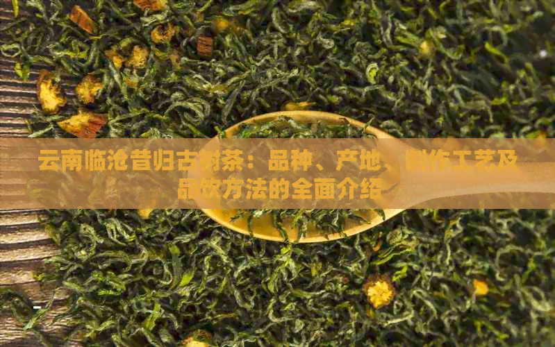 云南临沧昔归古树茶：品种、产地、制作工艺及品饮方法的全面介绍