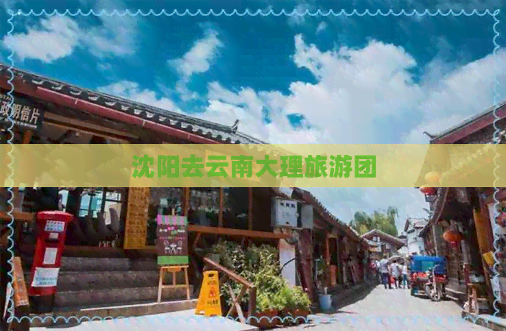 沈阳去云南大理旅游团