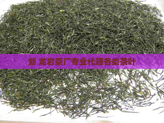 新 龙岩茶厂专业代理各类茶叶