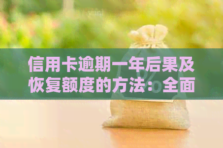 信用卡逾期一年后果及恢复额度的方法：全面解析与解决指南