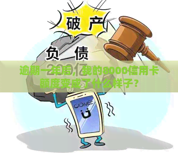 逾期一年后，我的8000信用卡额度变成了什么样子？