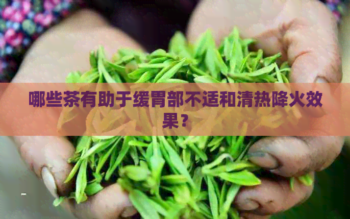 哪些茶有助于缓胃部不适和清热降火效果？