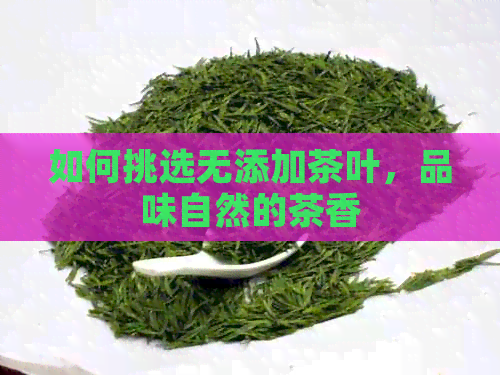 如何挑选无添加茶叶，品味自然的茶香