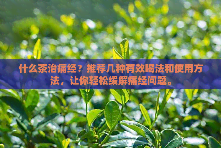 什么茶治痛经？推荐几种有效喝法和使用方法，让你轻松缓解痛经问题。