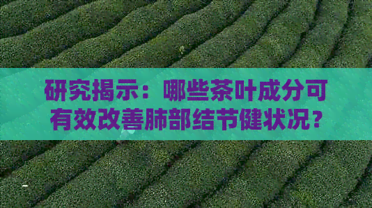 研究揭示：哪些茶叶成分可有效改善肺部结节健状况？