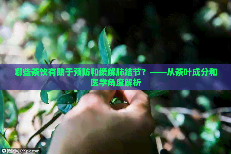 哪些茶饮有助于预防和缓解肺结节？——从茶叶成分和医学角度解析