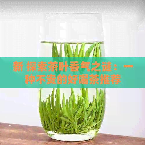 新 探索茶叶香气之谜：一种不贵的好喝茶推荐