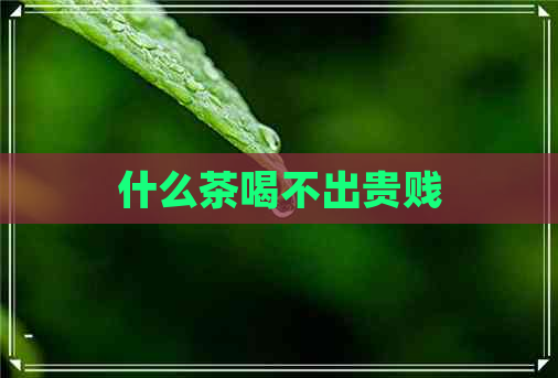 什么茶喝不出贵贱