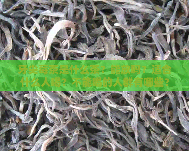 牙尖莓茶是什么茶？能放吗？适合什么人喝？不能喝的人群有哪些？