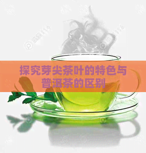 探究芽尖茶叶的特色与普洱茶的区别