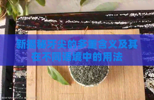 新揭秘牙尖的多重含义及其在不同语境中的用法