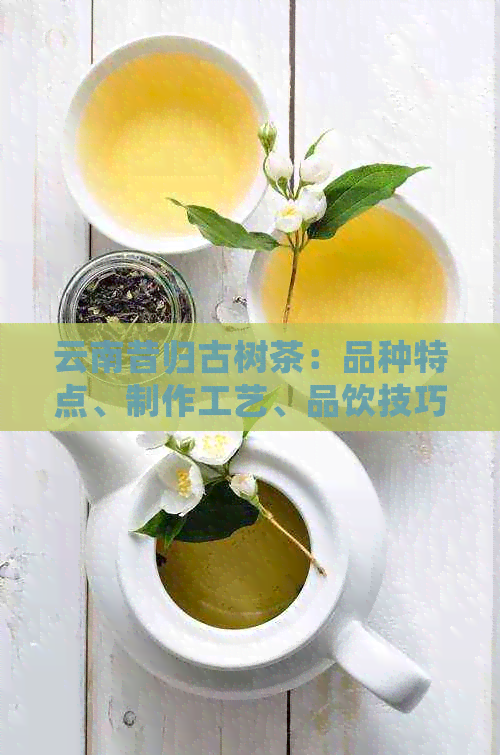 云南昔归古树茶：品种特点、制作工艺、品饮技巧及健益处全面解析