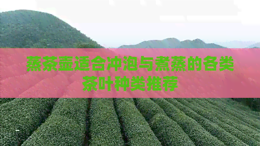 蒸茶壶适合冲泡与煮蒸的各类茶叶种类推荐