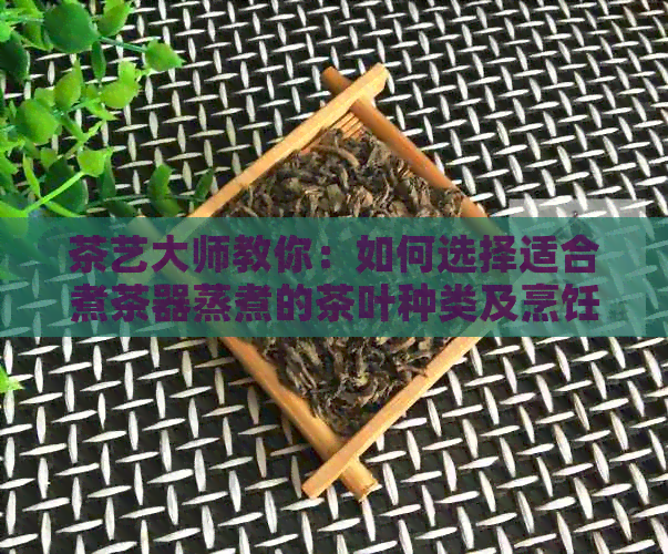 茶艺大师教你：如何选择适合煮茶器蒸煮的茶叶种类及烹饪方法