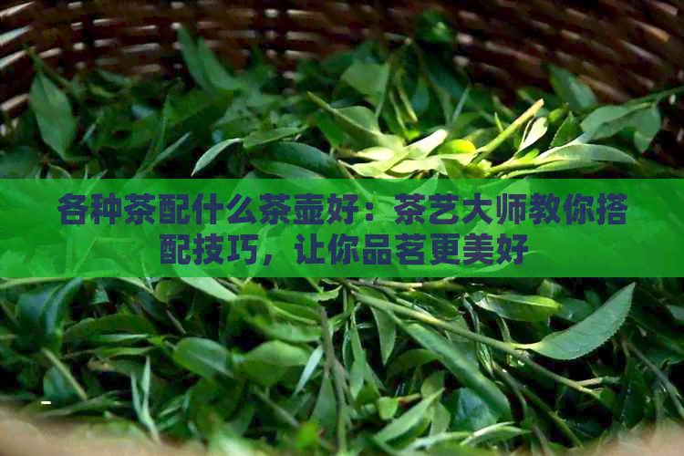 各种茶配什么茶壶好：茶艺大师教你搭配技巧，让你品茗更美好