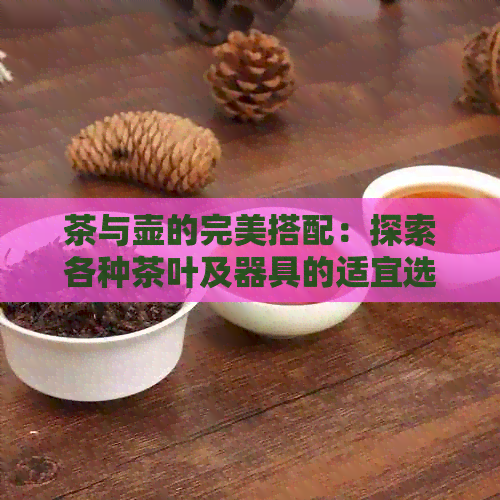 茶与壶的完美搭配：探索各种茶叶及器具的适宜选择，让你品茗更得心应手