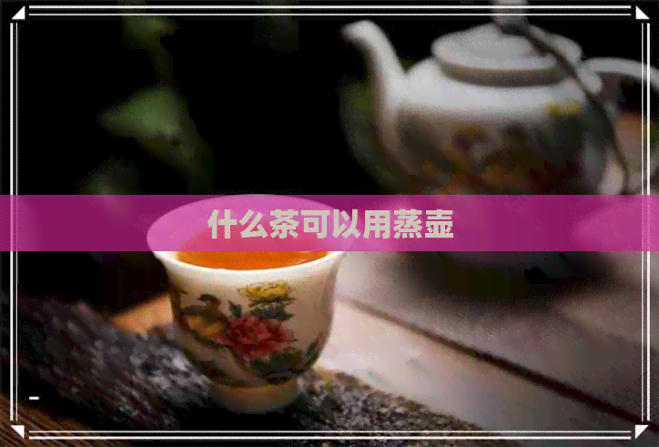 什么茶可以用蒸壶