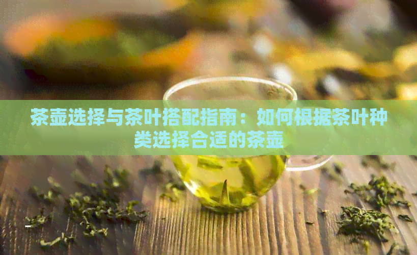 茶壶选择与茶叶搭配指南：如何根据茶叶种类选择合适的茶壶