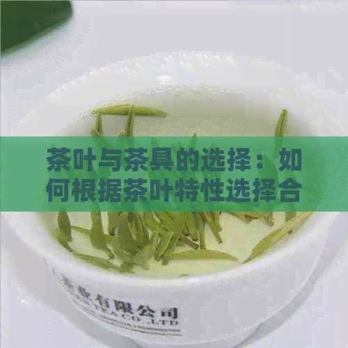 茶叶与茶具的选择：如何根据茶叶特性选择合适的壶冲泡