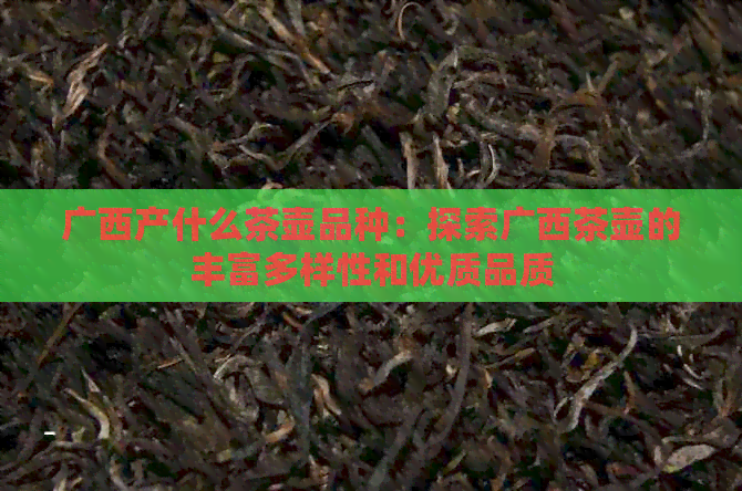 广西产什么茶壶品种：探索广西茶壶的丰富多样性和优质品质