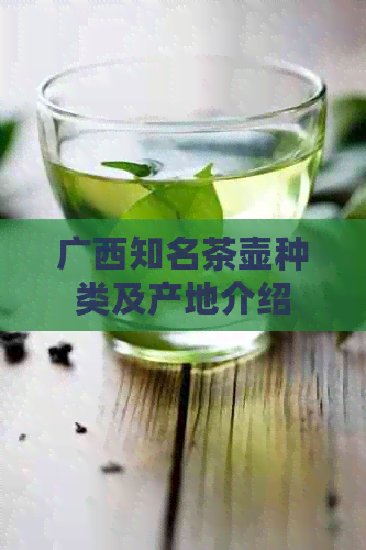广西知名茶壶种类及产地介绍