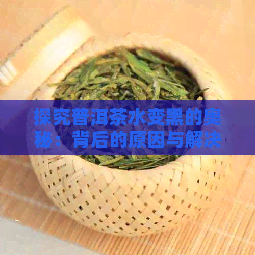 探究普洱茶水变黑的奥秘：背后的原因与解决之道