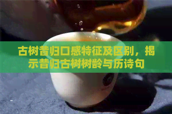 古树昔归口感特征及区别，揭示昔归古树树龄与历诗句