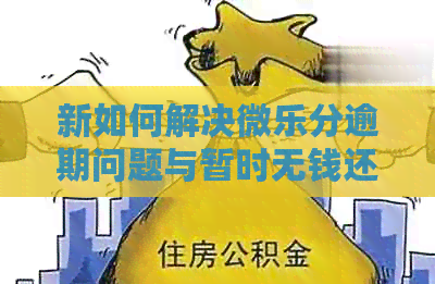 新如何解决微乐分逾期问题与暂时无钱还款的困境？