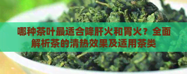 哪种茶叶最适合降肝火和胃火？全面解析茶的清热效果及适用茶类