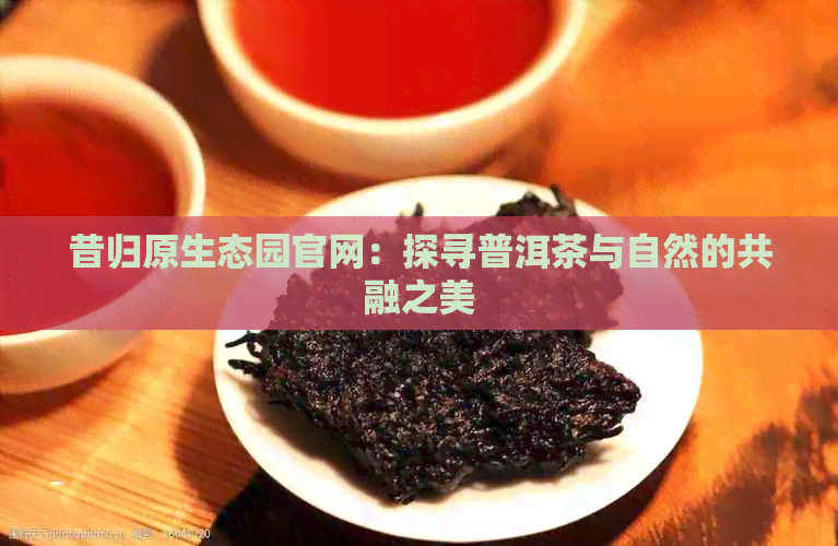 昔归原生态园官网：探寻普洱茶与自然的共融之美