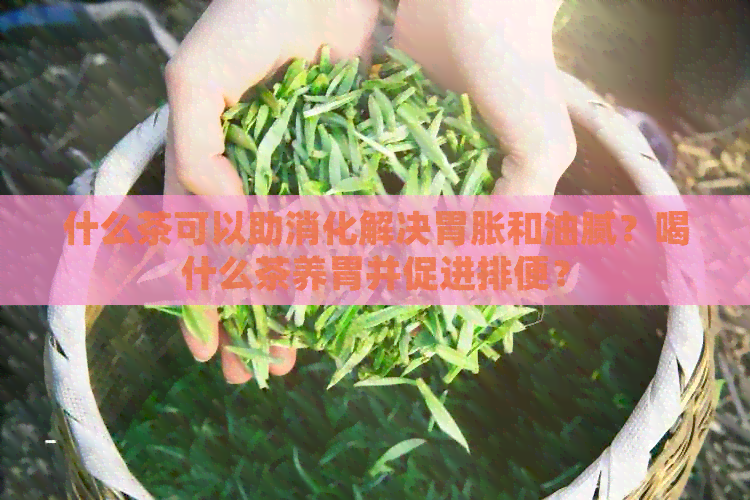 什么茶可以助消化解决胃胀和油腻？喝什么茶养胃并促进排便？