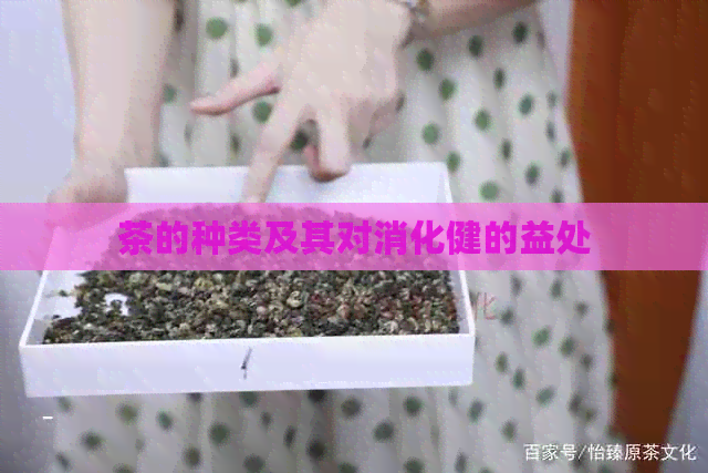 茶的种类及其对消化健的益处