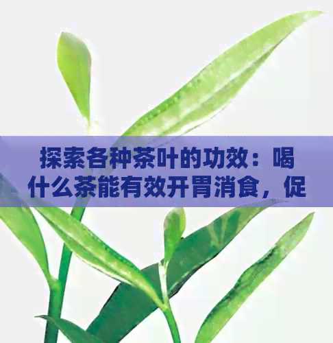 探索各种茶叶的功效：喝什么茶能有效开胃消食，促进消化健？