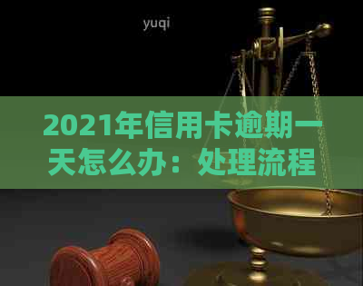 2021年信用卡逾期一天怎么办：处理流程与影响分析