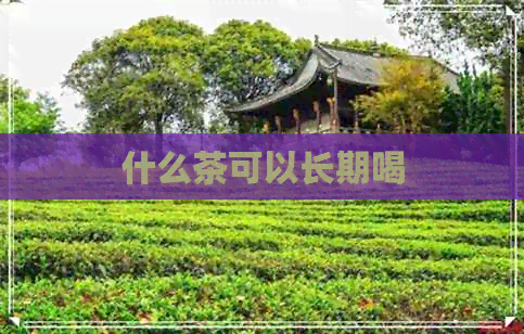 什么茶可以长期喝