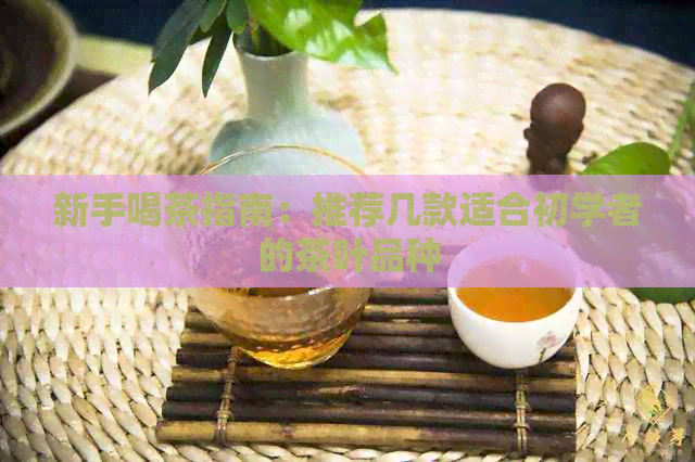 新手喝茶指南：推荐几款适合初学者的茶叶品种