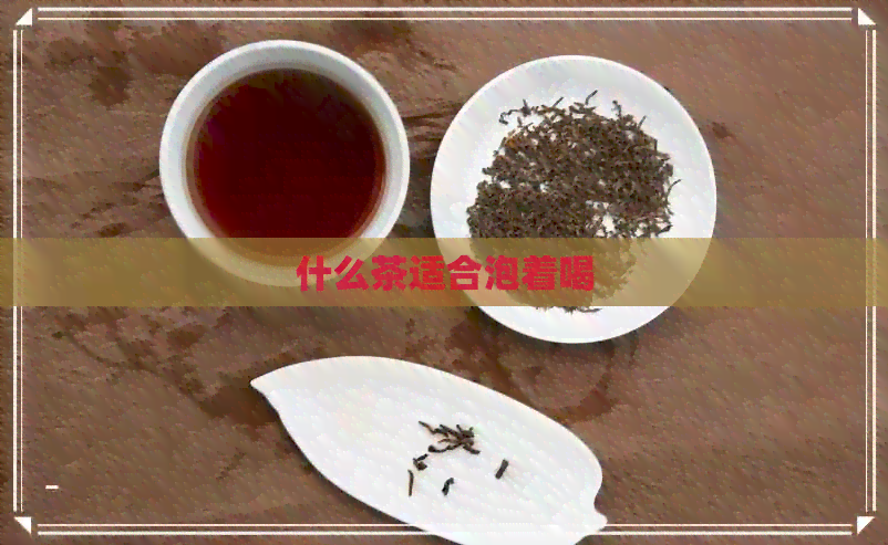 什么茶适合泡着喝