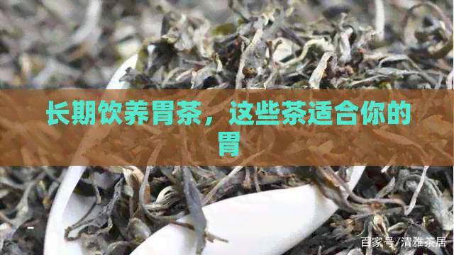 长期饮养胃茶，这些茶适合你的胃