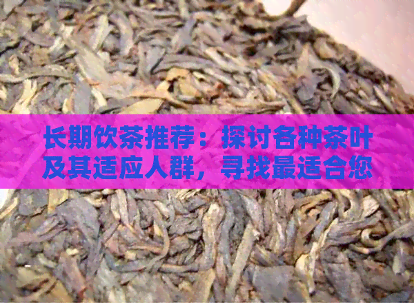 长期饮茶推荐：探讨各种茶叶及其适应人群，寻找最适合您的茶品