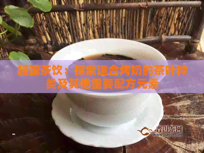 罐罐茶饮：探索适合烤奶的茶叶种类及其他重要配方元素