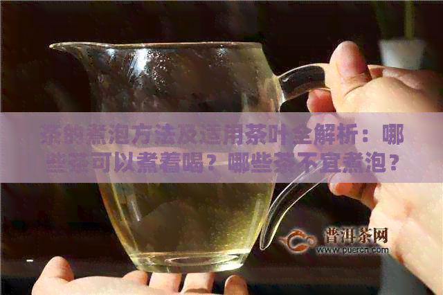 茶的煮泡方法及适用茶叶全解析：哪些茶可以煮着喝？哪些茶不宜煮泡？