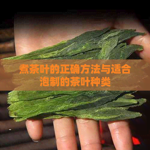 煮茶叶的正确方法与适合泡制的茶叶种类