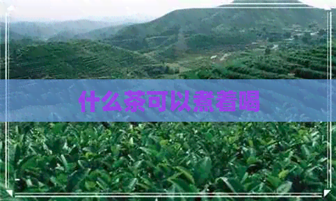 什么茶可以煮着喝